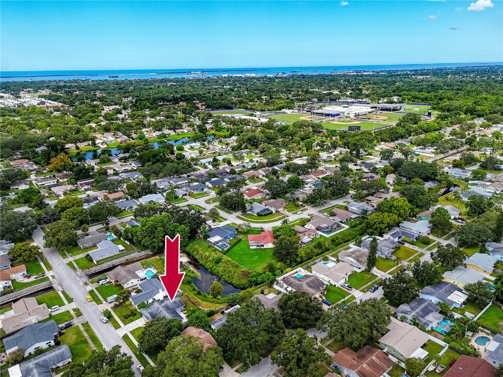 1844 Teakwood Lane Dunedin FL 34698 TB8429274 image39