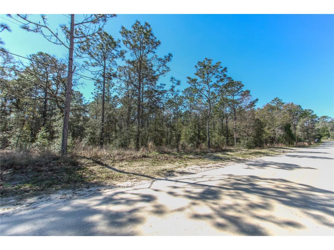 1844 W Jenny Lecanto FL 34461 OM673354 image1