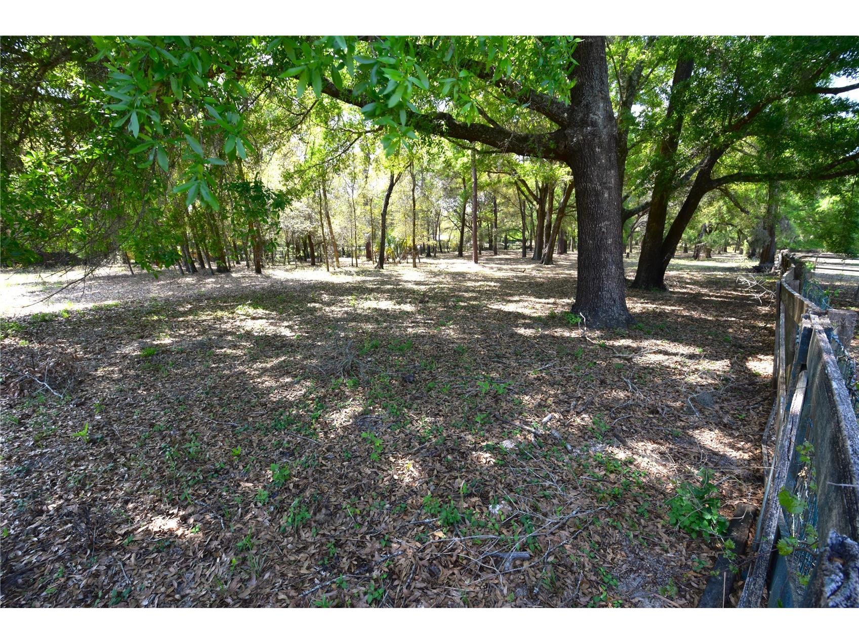 18441 Oaklawn Drive Spring Hill FL 34610 TB8450753 image58