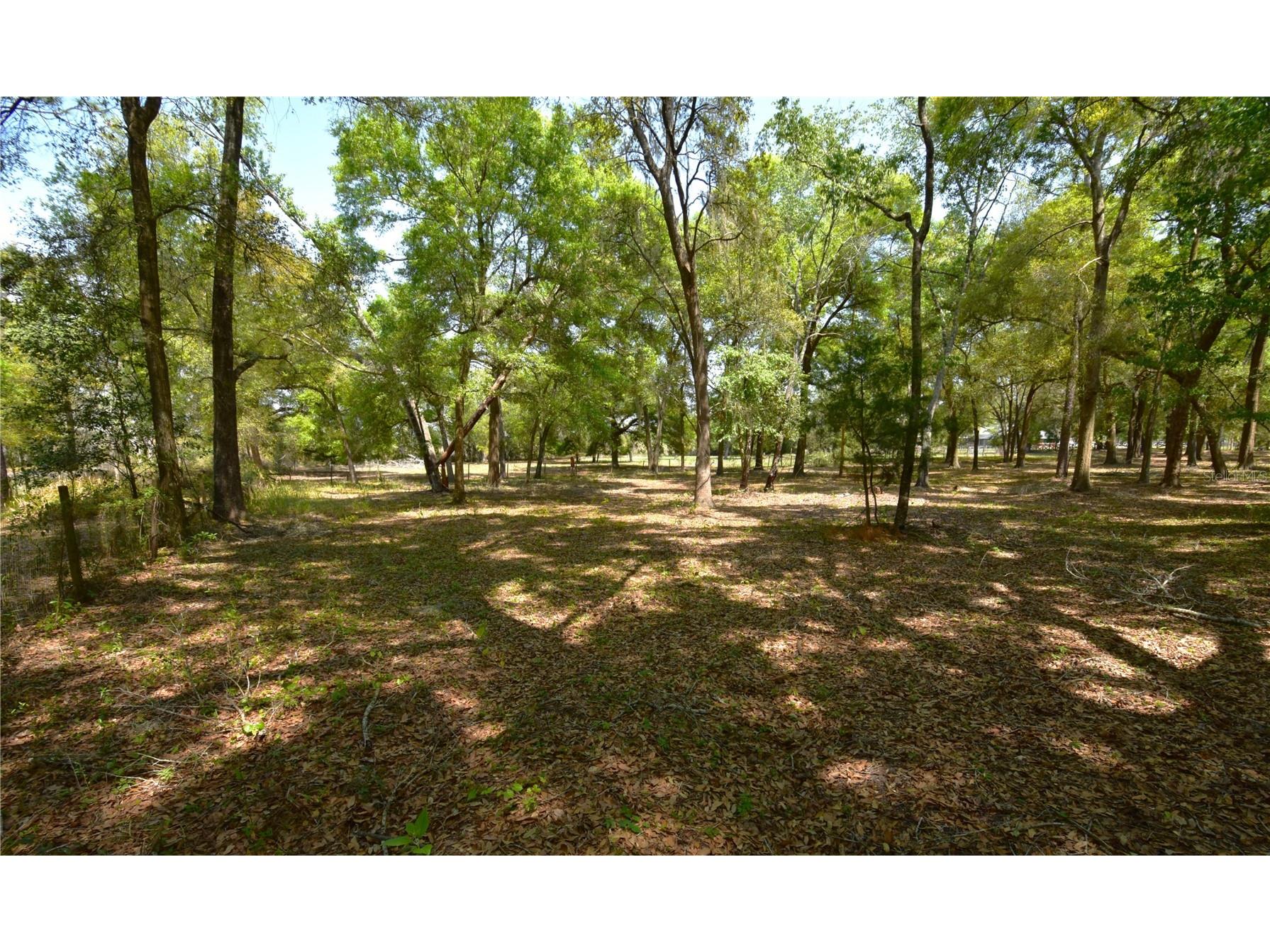 18441 Oaklawn Drive Spring Hill FL 34610 TB8450753 image59