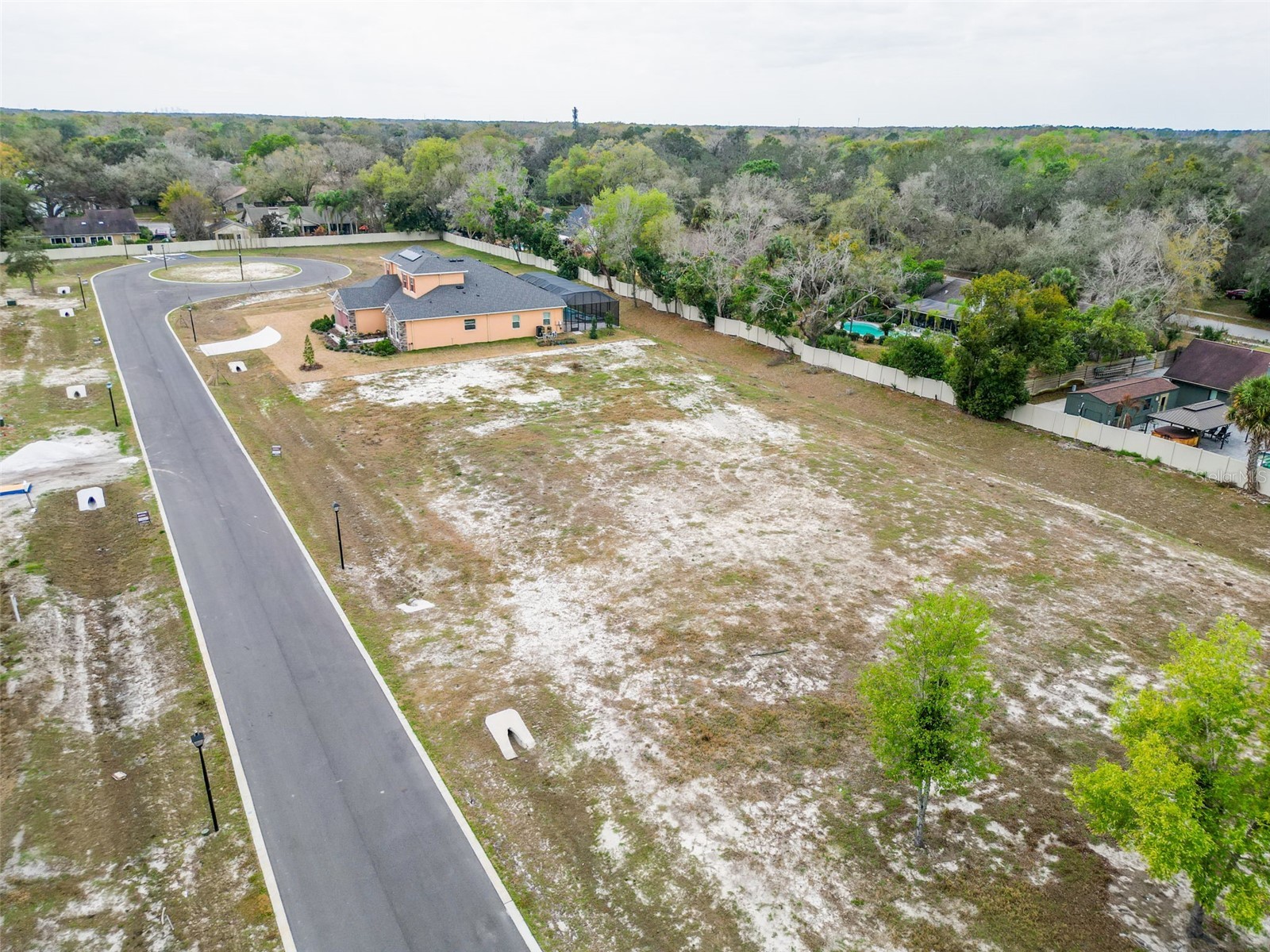 18442 Purple Creek Lane Lutz FL 33549 TB8482482 image11
