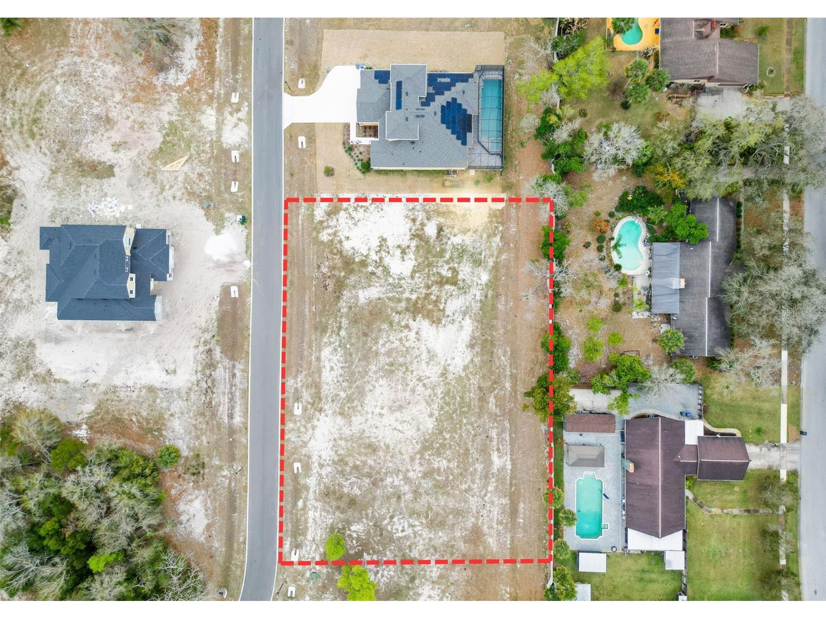 18442 Purple Creek Lane Lutz FL 33549 TB8482482 image18