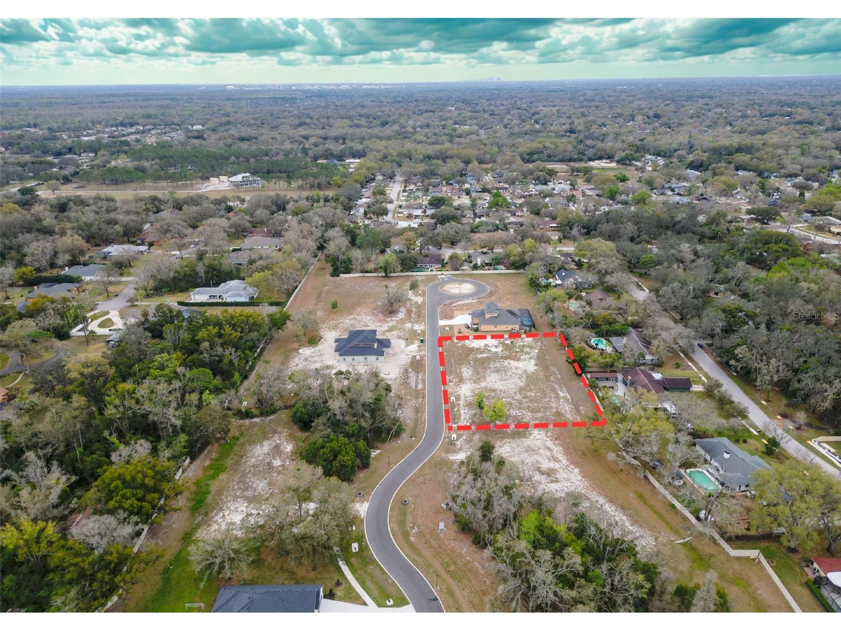 18442 Purple Creek Lane Lutz FL 33549 TB8482482 image20