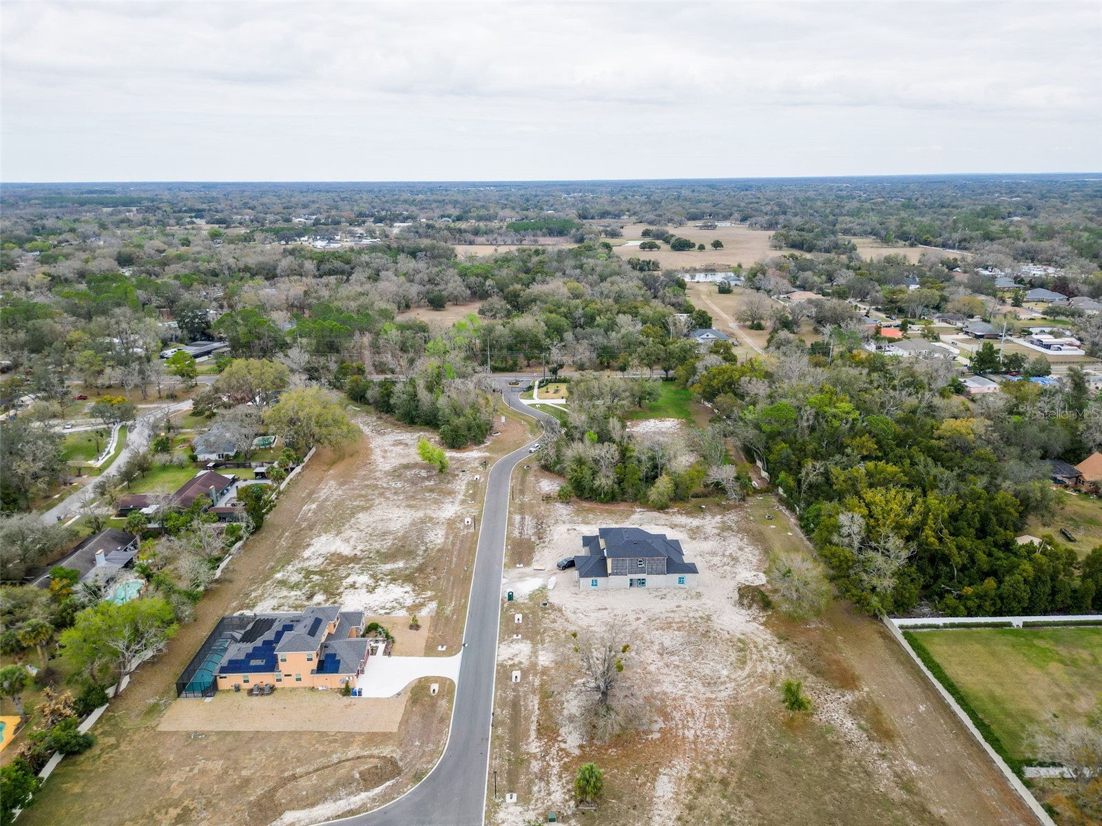 18442 Purple Creek Lane Lutz FL 33549 TB8482482 image3