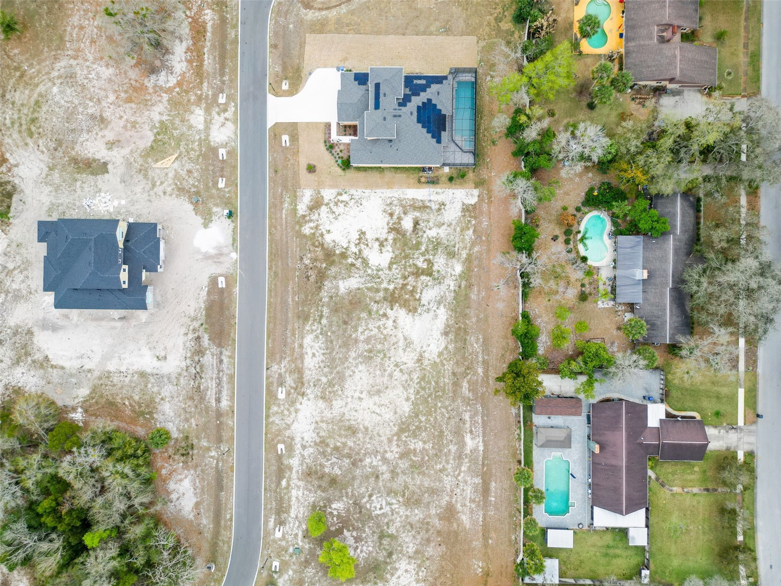 18442 Purple Creek Lane Lutz FL 33549 TB8482482 image6