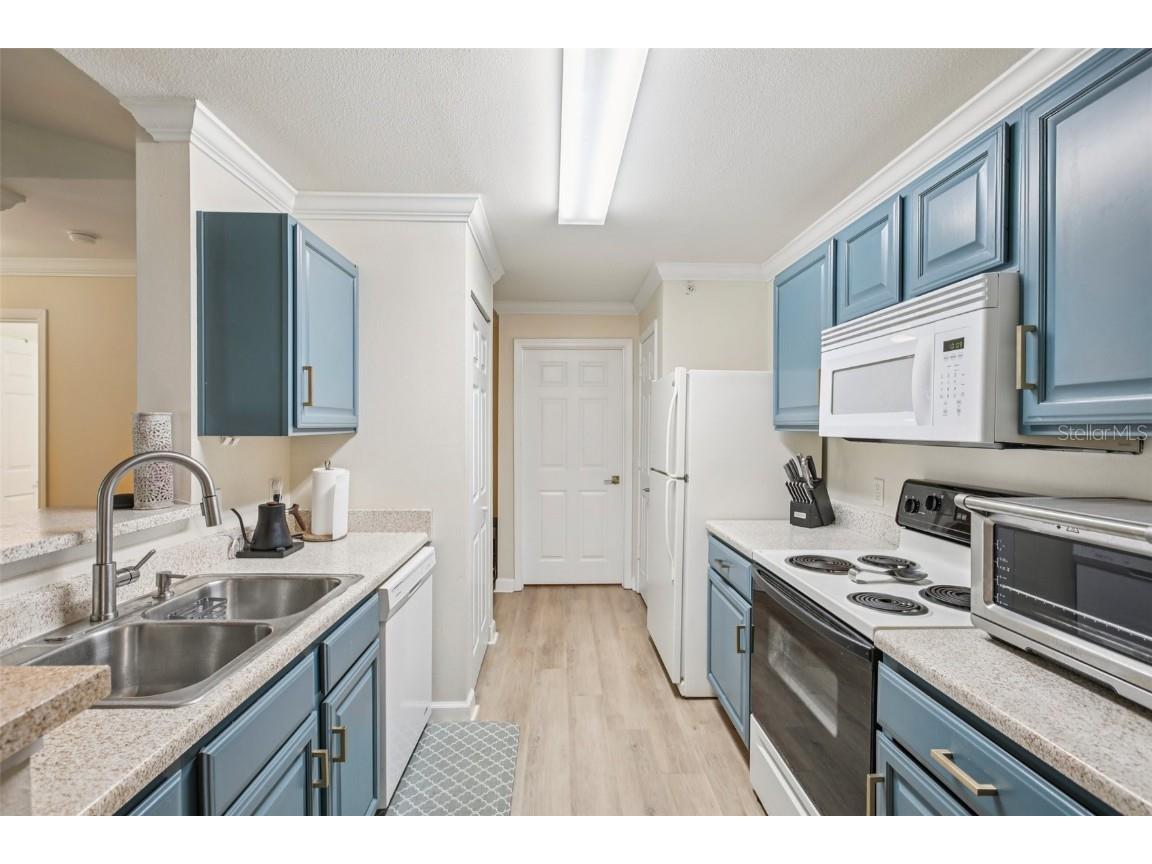 18443 Bridle Club Drive #18443 Tampa FL 33647 TB8409292 image12