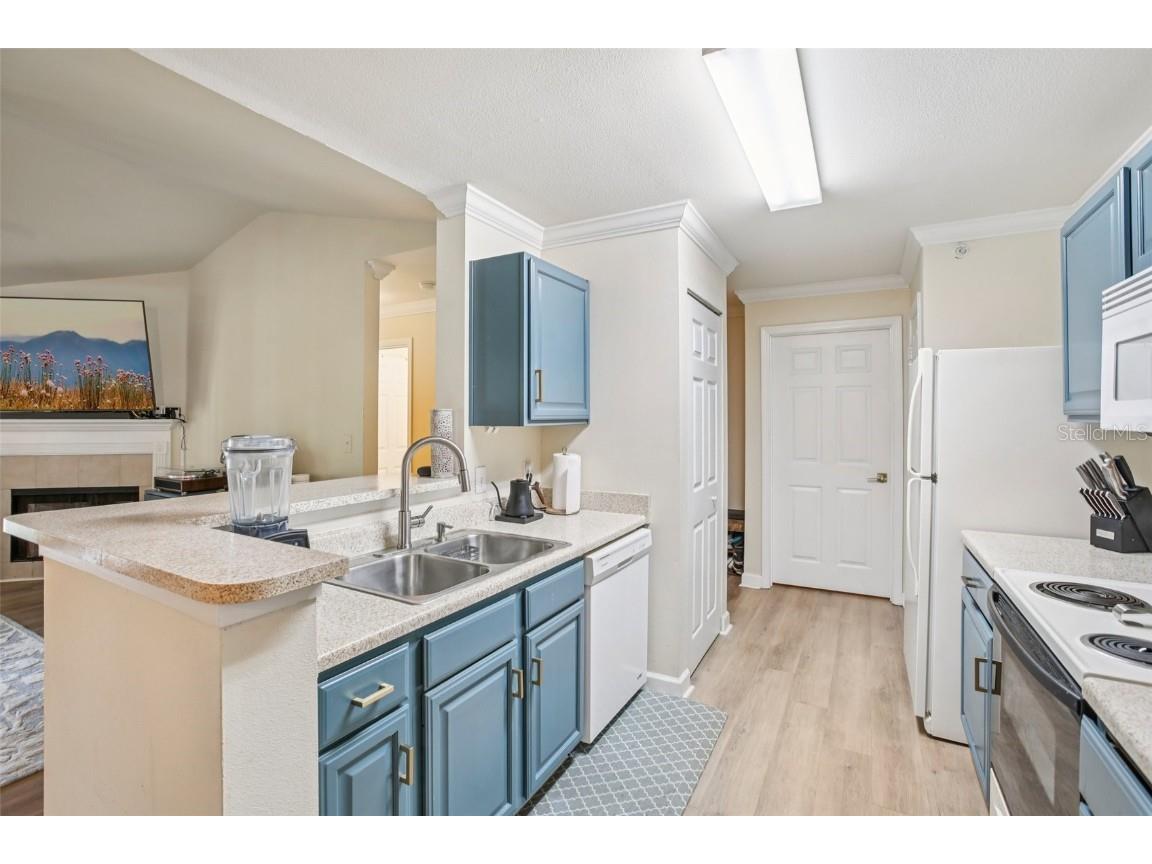 18443 Bridle Club Drive #18443 Tampa FL 33647 TB8409292 image13