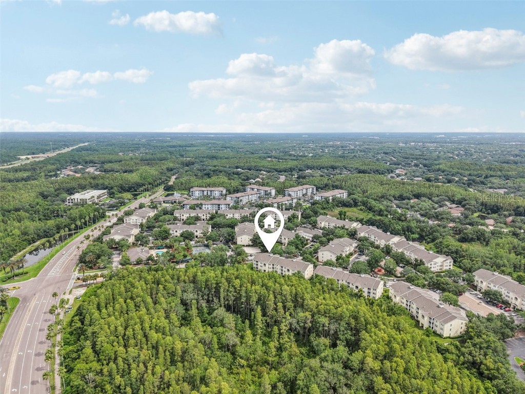 18443 Bridle Club Drive #18443 Tampa FL 33647 TB8409292 image22