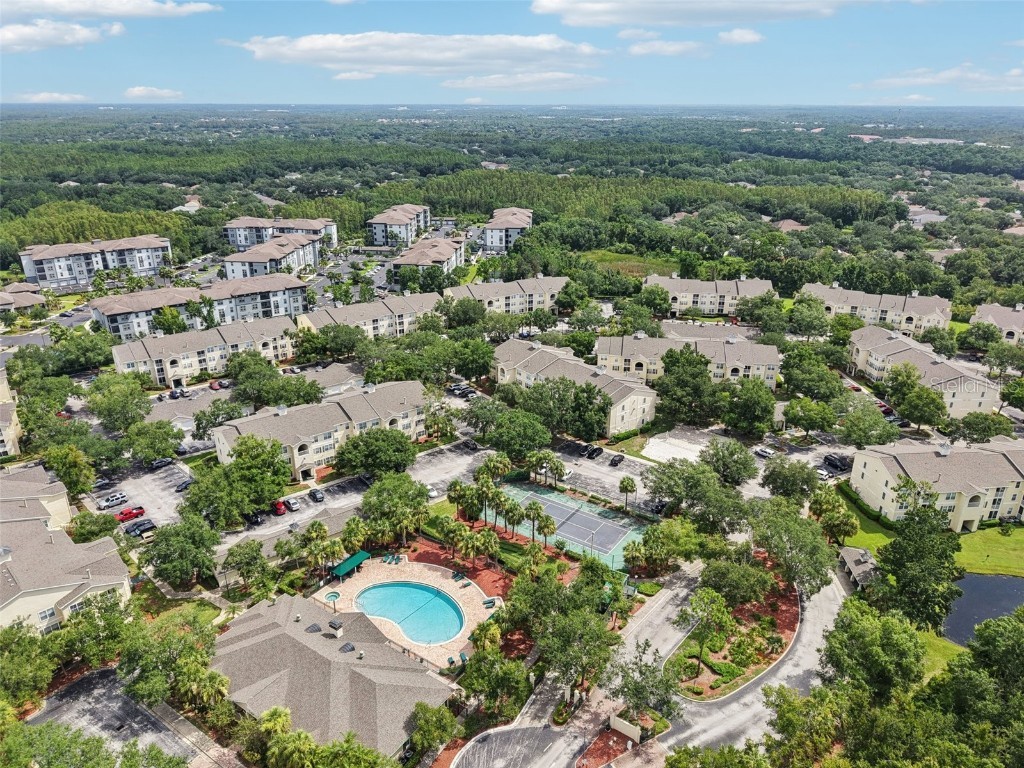 18443 Bridle Club Drive #18443 Tampa FL 33647 TB8409292 image25