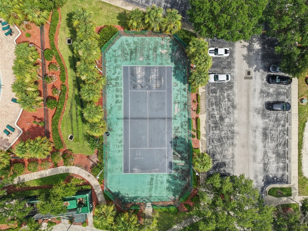 18443 Bridle Club Drive #18443 Tampa FL 33647 TB8409292 image28