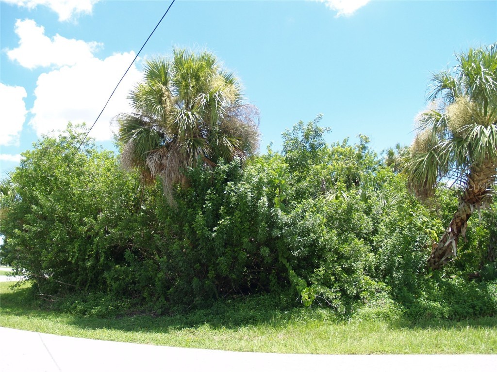 18443 Briggs Circle Port Charlotte FL 33948 C7513924 image10