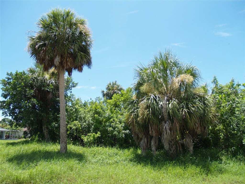 18443 Briggs Circle Port Charlotte FL 33948 C7513924 image16