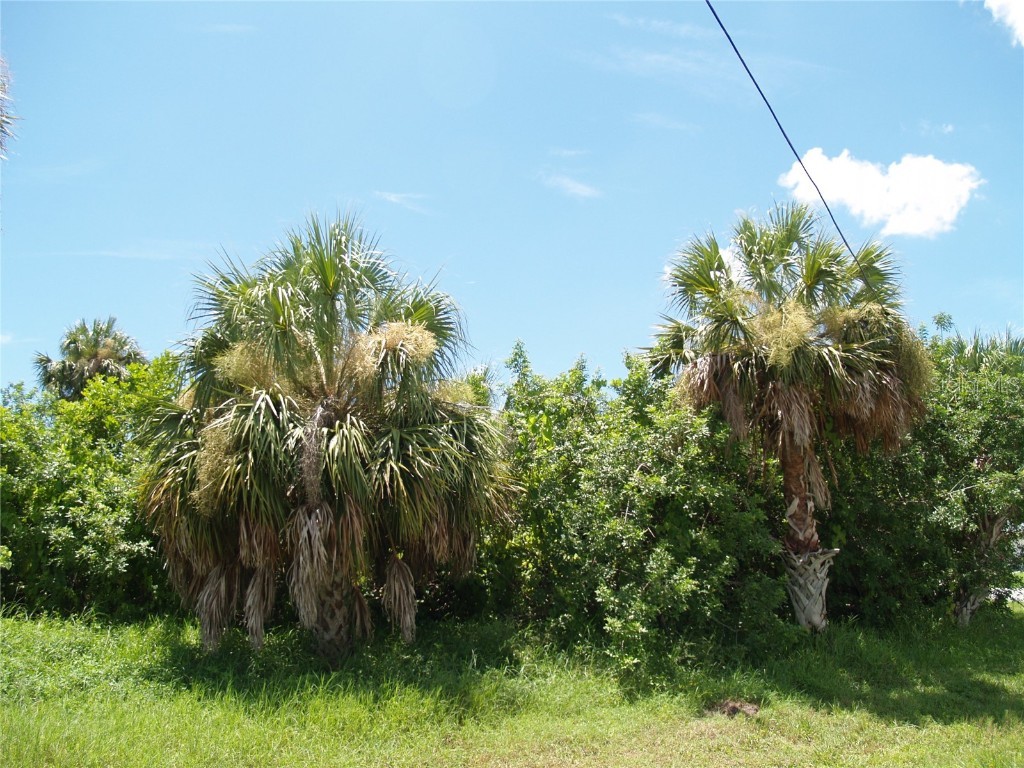 18443 Briggs Circle Port Charlotte FL 33948 C7513924 image17