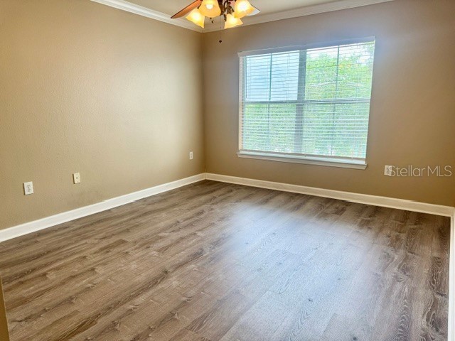 18448 Bridle Club Drive #NA Tampa FL 33647 TB8517034 image14