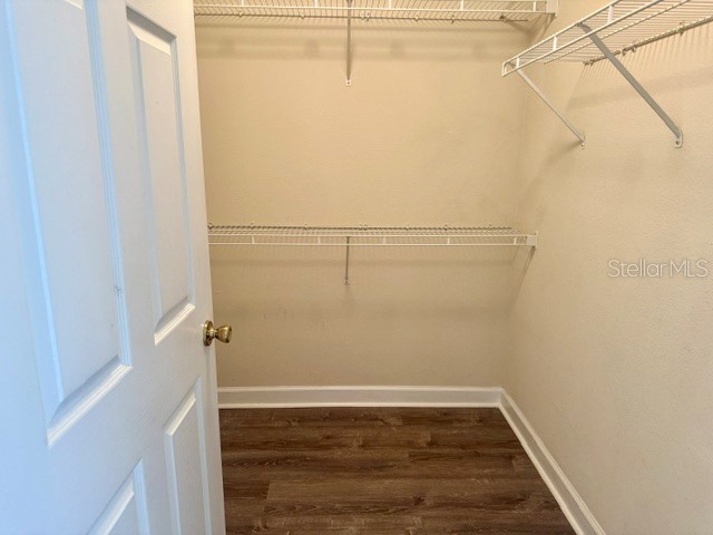 18448 Bridle Club Drive #NA Tampa FL 33647 TB8517034 image15