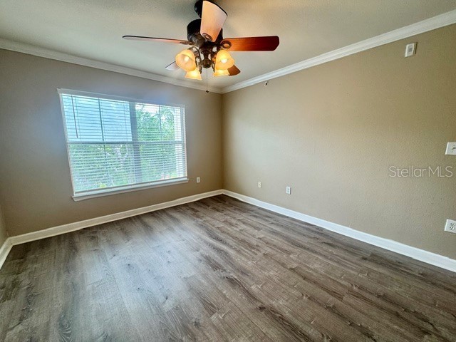 18448 Bridle Club Drive #NA Tampa FL 33647 TB8517034 image17