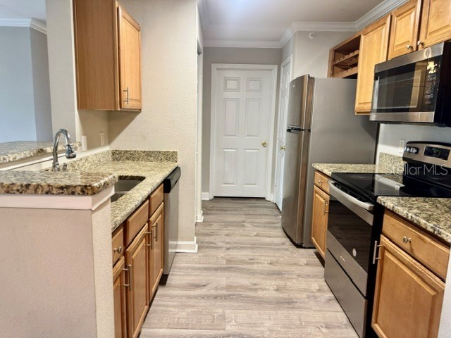 18448 Bridle Club Drive #NA Tampa FL 33647 TB8517034 image7