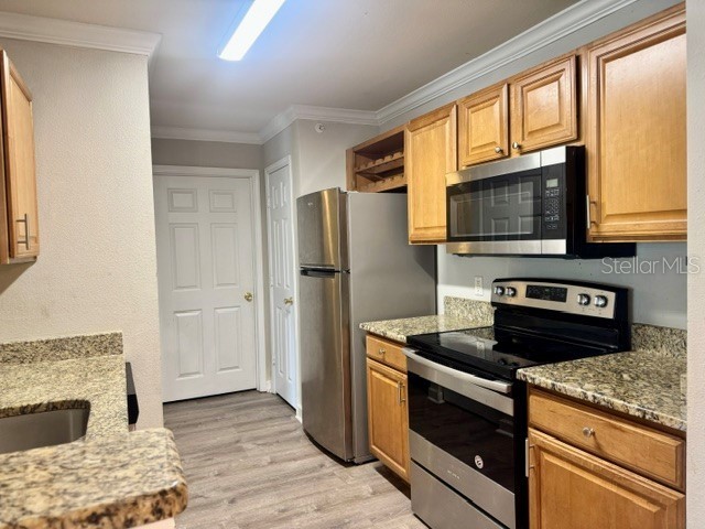 18448 Bridle Club Drive #NA Tampa FL 33647 TB8517034 image9