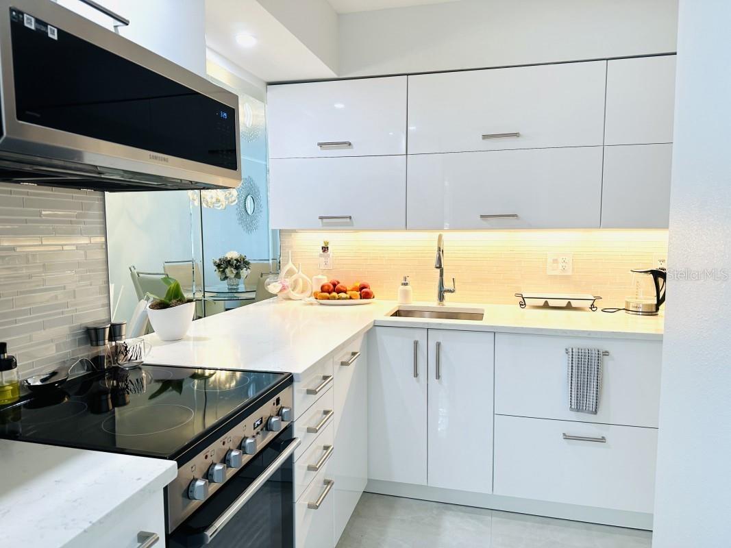 1845 Bough Avenue #B Clearwater FL 33760 A4677849 image7