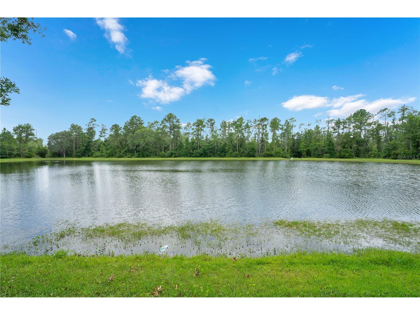 1845 Corner Meadow Circle Orlando FL 32820 O6401038 image18
