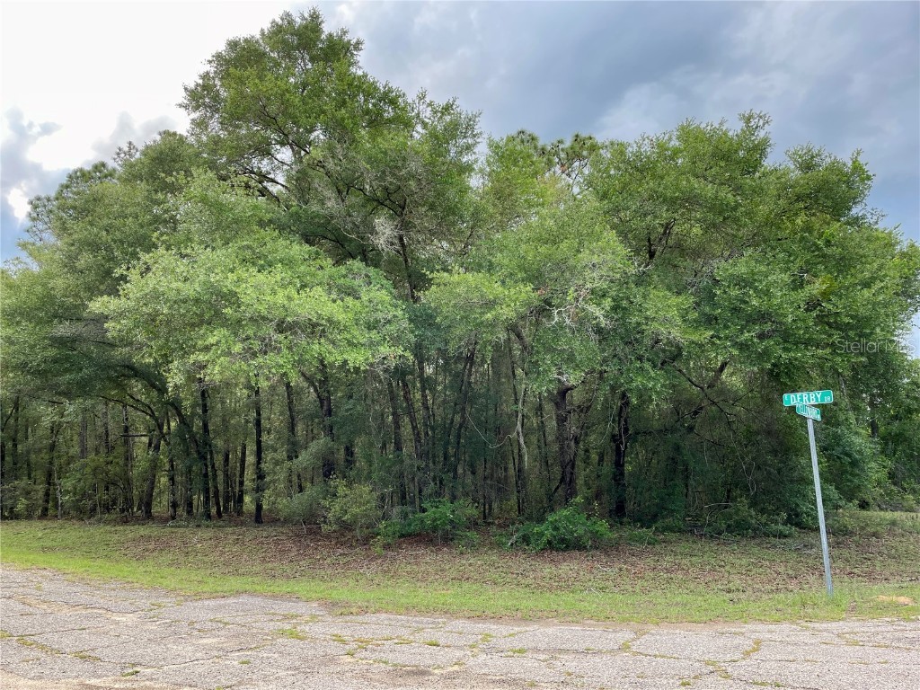 1845 E Derby Drive Citrus Springs FL 34434 W7855062 image1