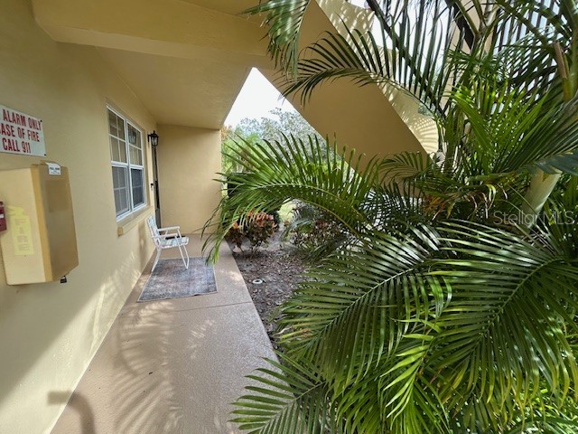 1845 S Highland Avenue #5-7 Largo FL 33756 TB8475095 image5