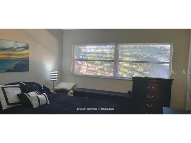 1845 S Highland Avenue #9-19 Largo FL 33756 TB8450423 image14