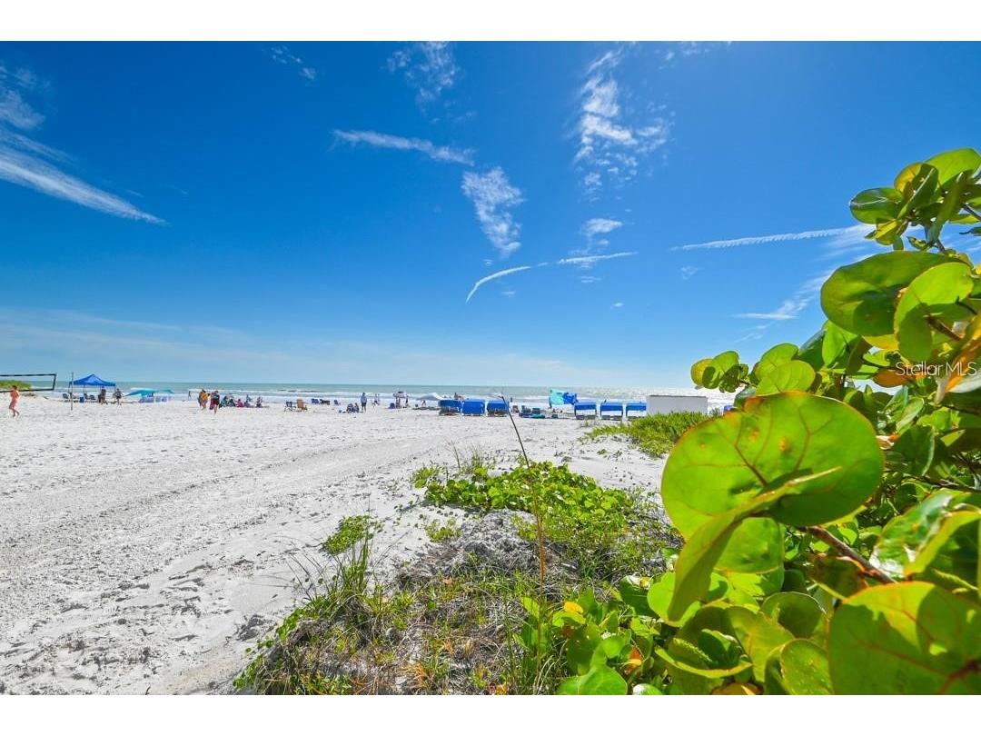 18450 Gulf Boulevard #103 Indian Shores FL 33785 TB8465060 image39