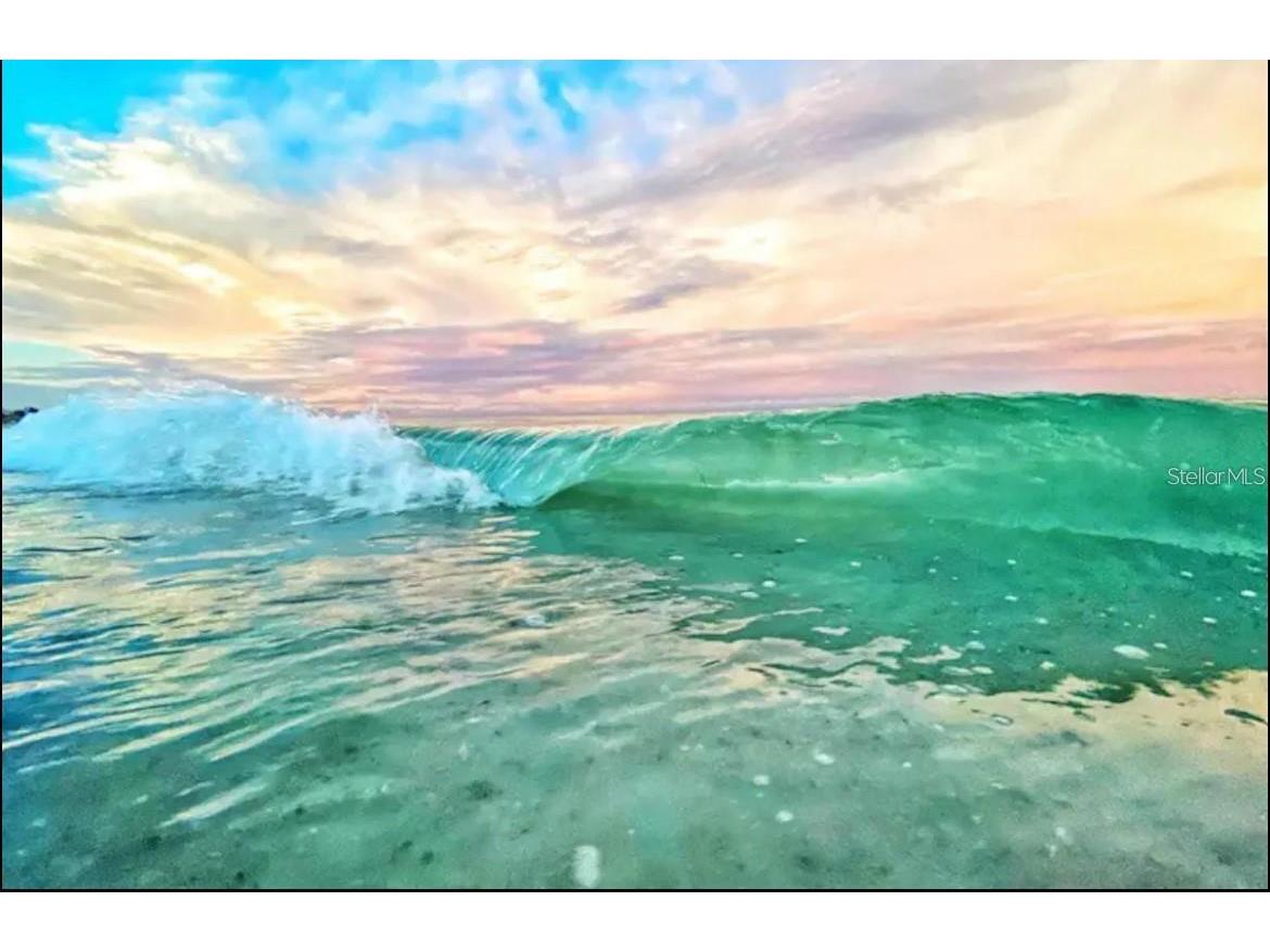 18450 Gulf Boulevard #103 Indian Shores FL 33785 TB8465060 image40