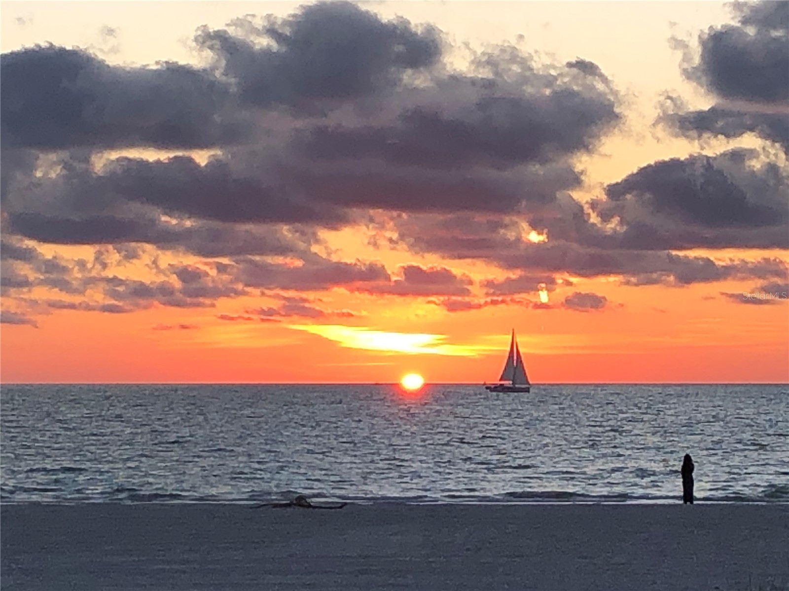 18450 Gulf Boulevard #213 Indian Shores FL 33785 TB8468455 image42