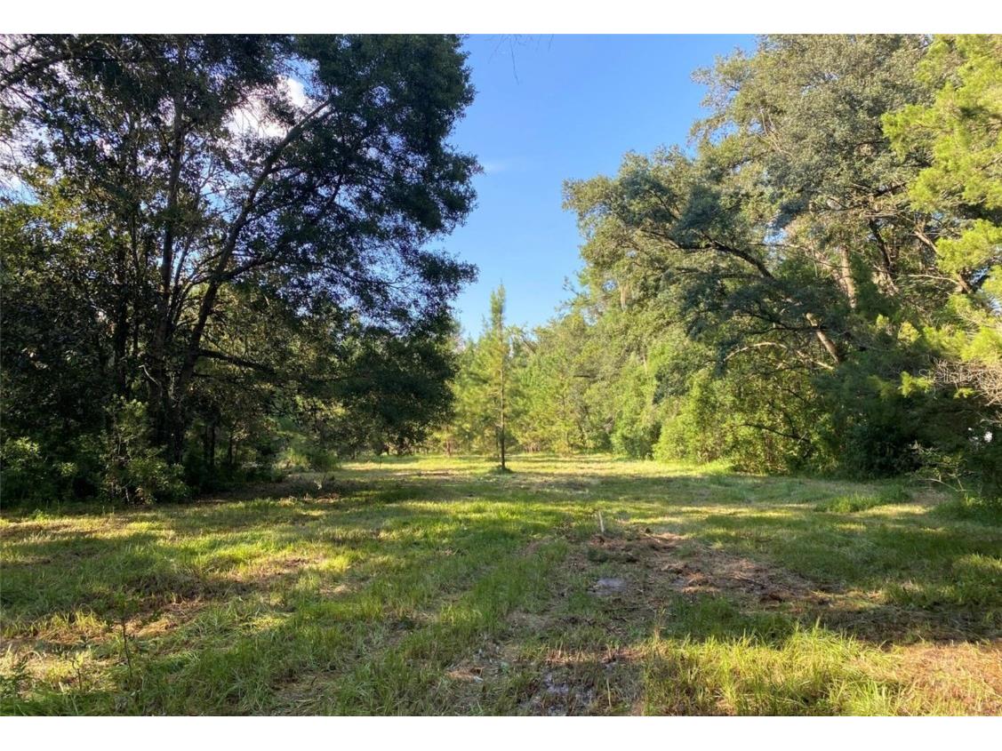 18451 Powell Road Brooksville FL 34604 W7858365 image1