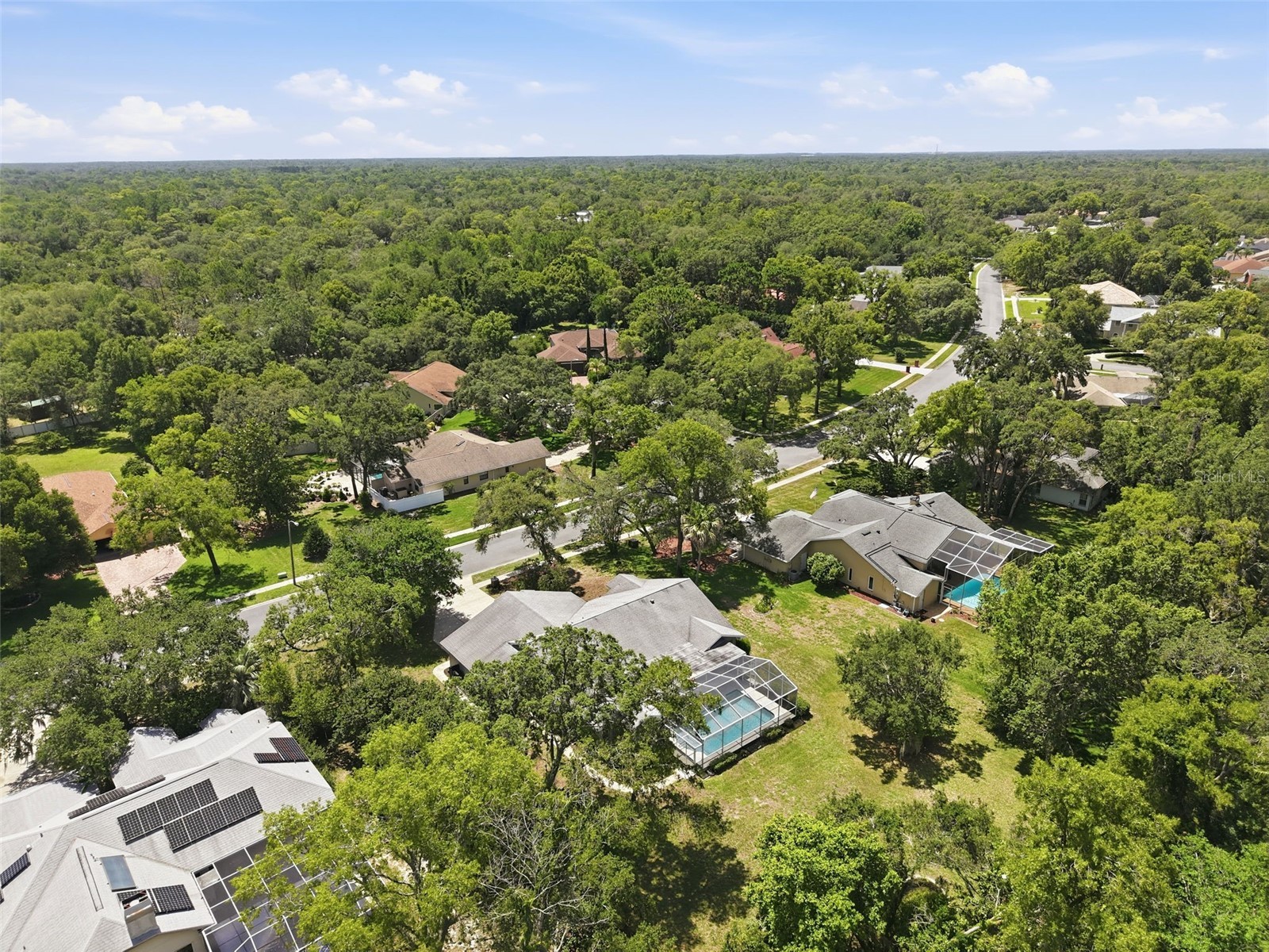 18451 Winding Oaks Boulevard Hudson FL 34667 W7886480 image50