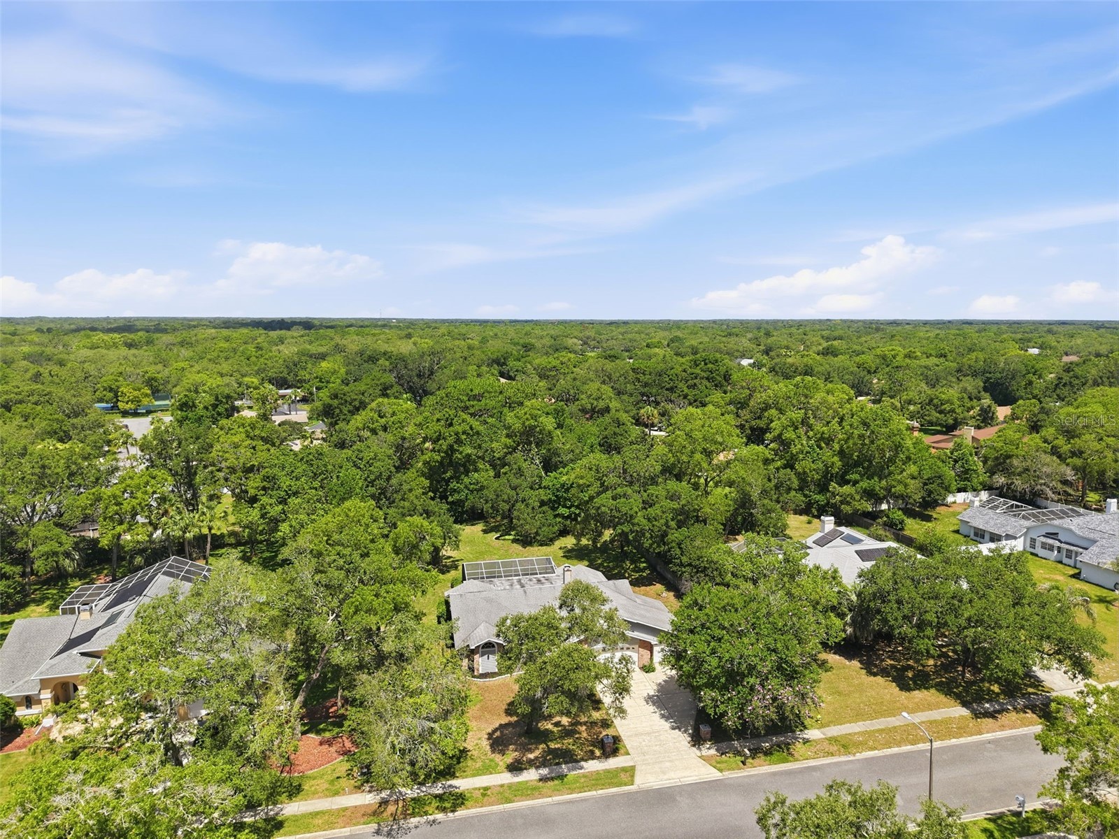 18451 Winding Oaks Boulevard Hudson FL 34667 W7886480 image59