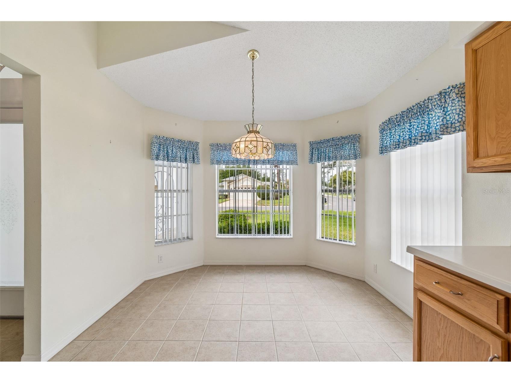18452 Fairway Green Drive Hudson FL 34667 W7884667 image7