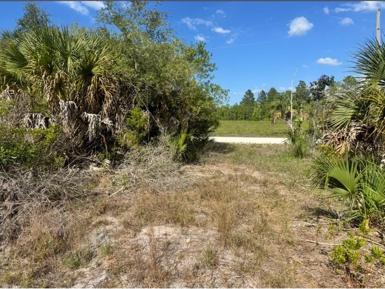 18455 Quiet Road Weeki Wachee FL 34614 TB8509904 image2