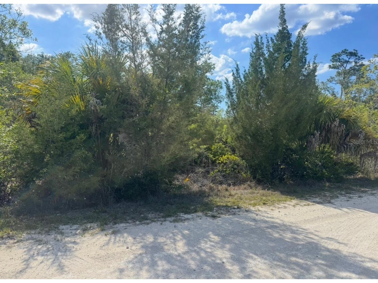 18455 Quiet Road Weeki Wachee FL 34614 TB8509904 image4