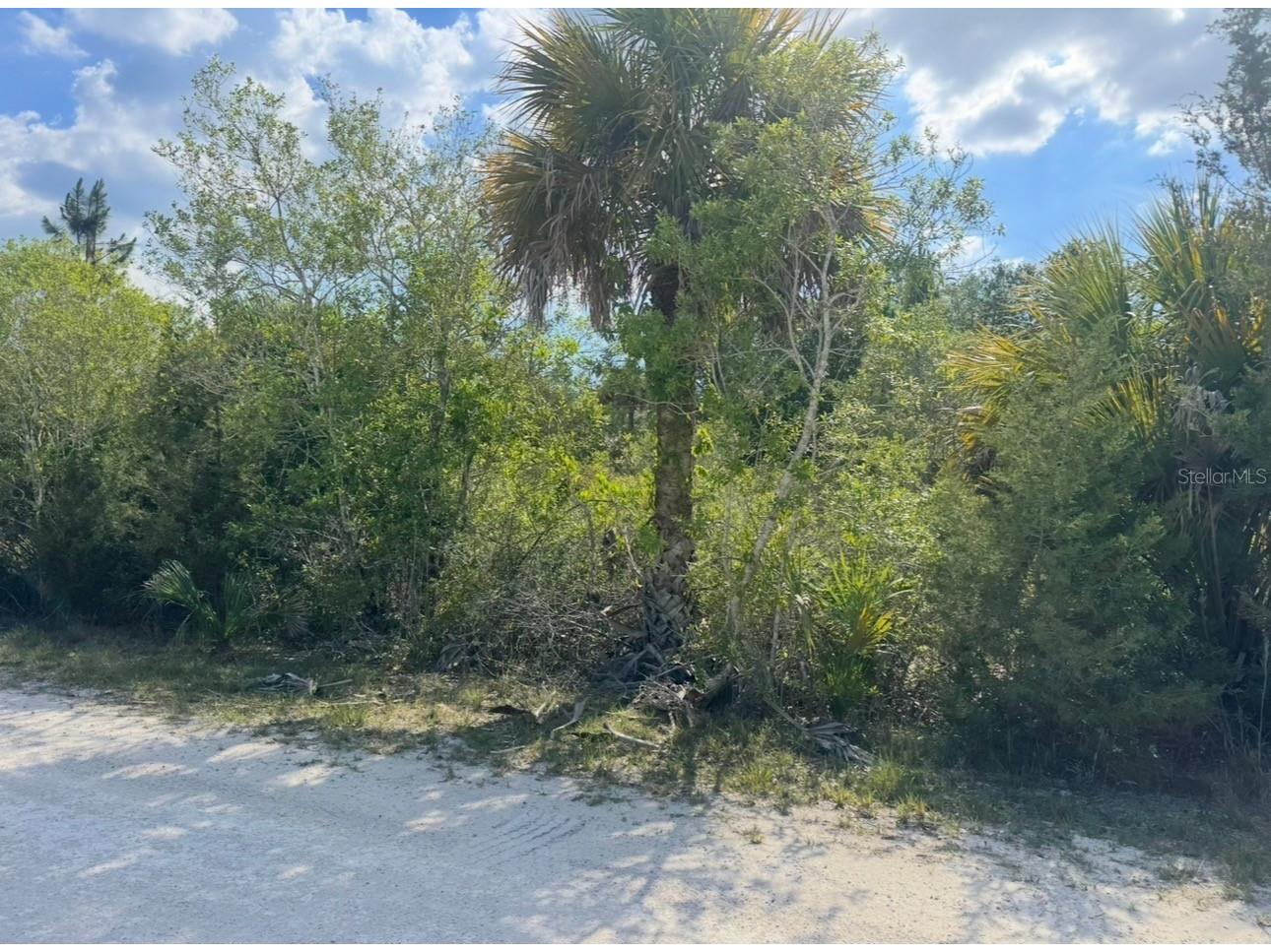 18455 Quiet Road Weeki Wachee FL 34614 TB8509904 image5