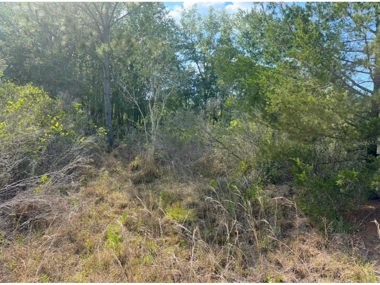 18455 Quiet Road Weeki Wachee FL 34614 TB8509904 image6