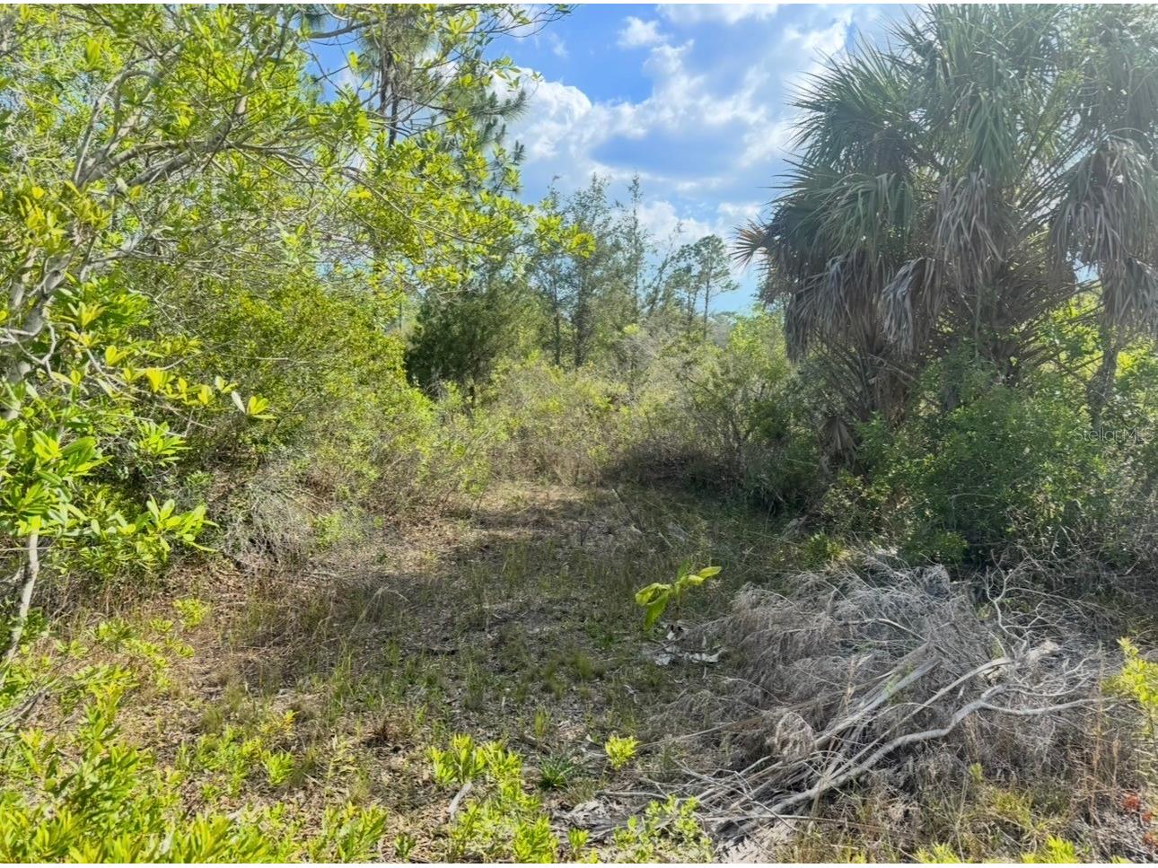 18455 Quiet Road Weeki Wachee FL 34614 TB8509904 image7