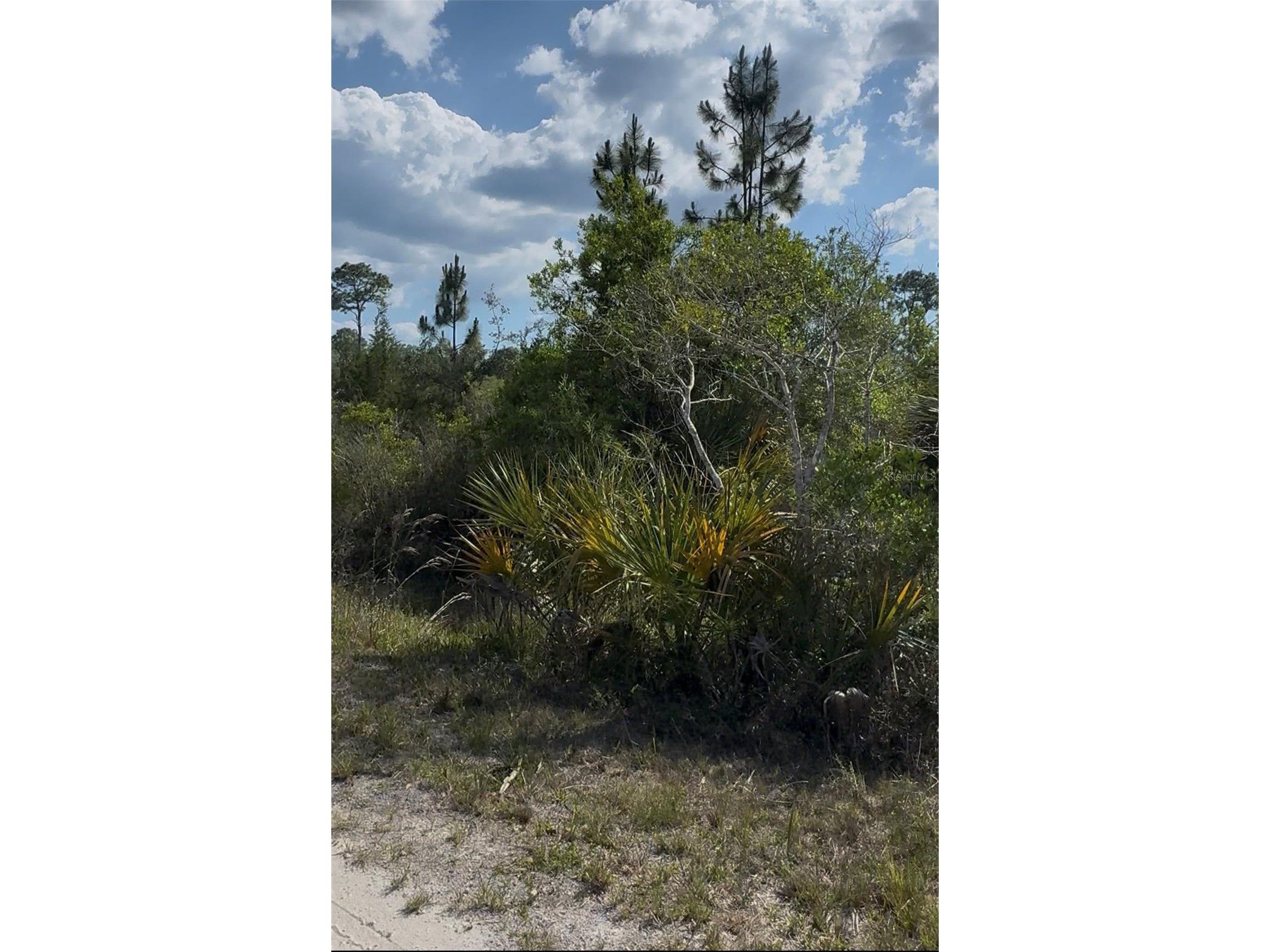 18455 Quiet Road Weeki Wachee FL 34614 TB8509904 image8