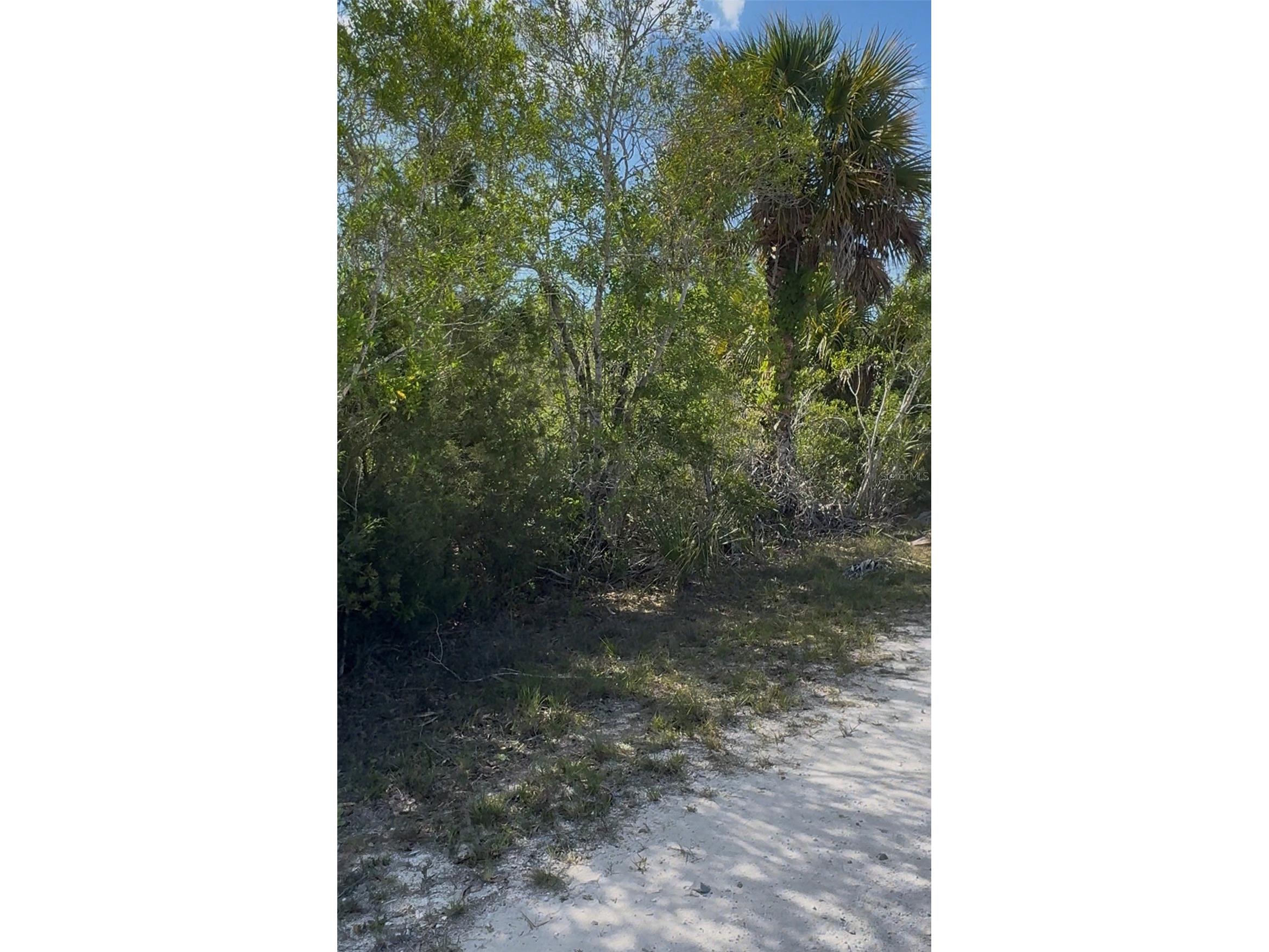 18455 Quiet Road Weeki Wachee FL 34614 TB8509904 image9