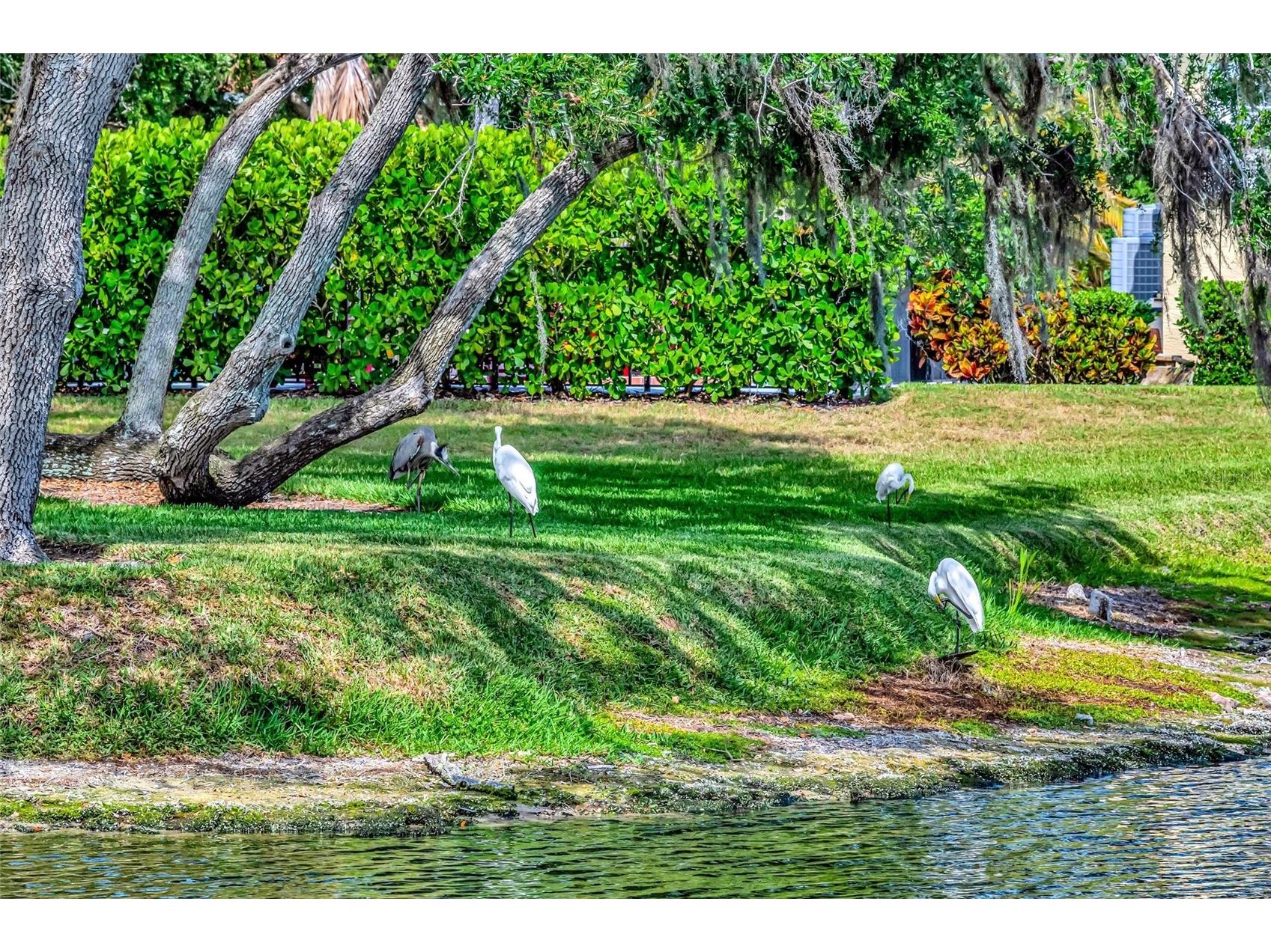 1846 Amberwynd Circle W Palmetto FL 34221 A4691136 image11
