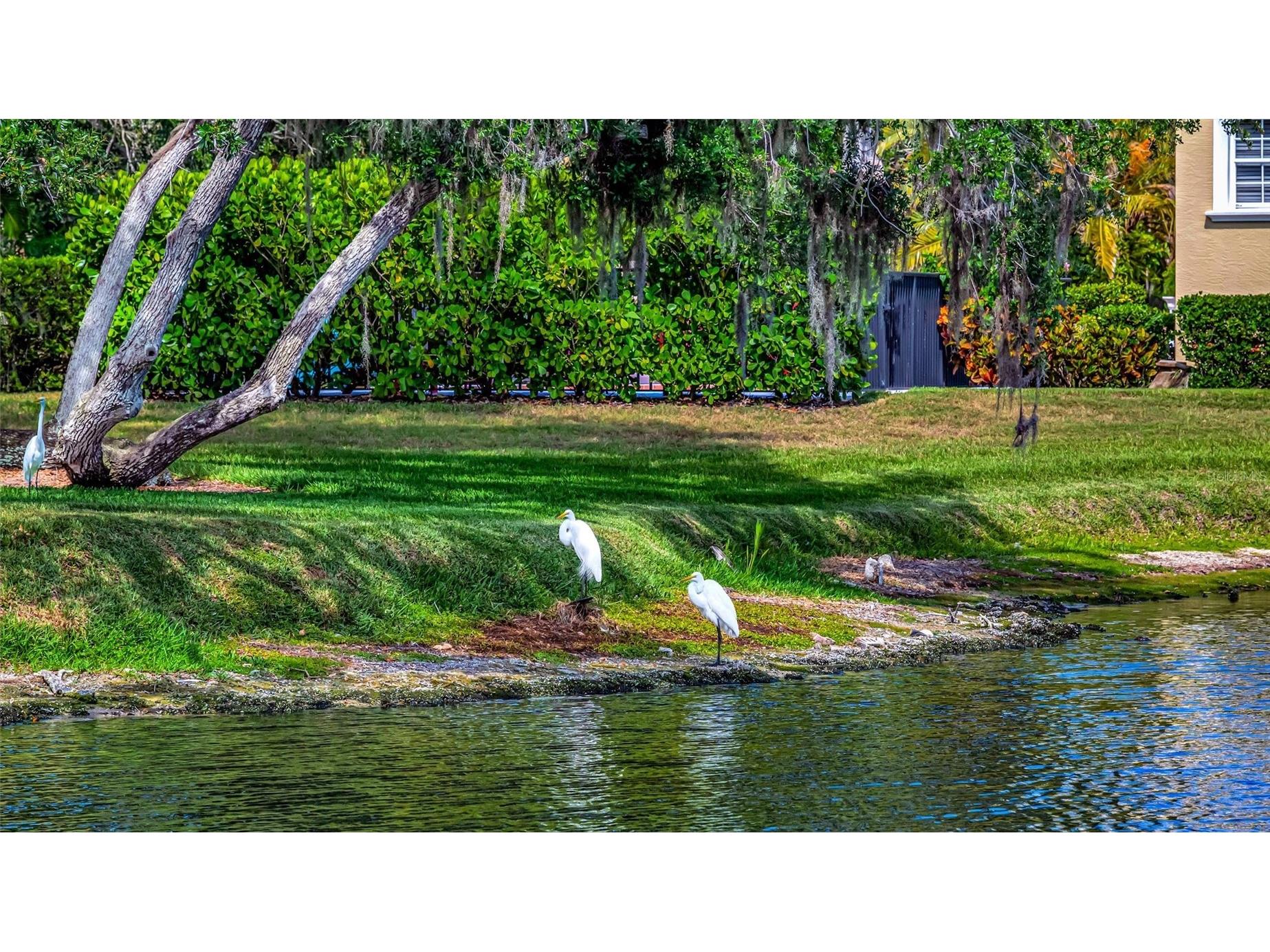 1846 Amberwynd Circle W Palmetto FL 34221 A4691136 image28