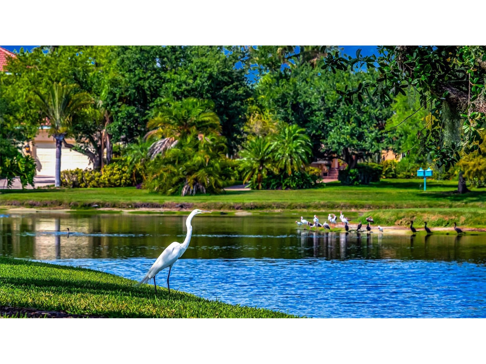 1846 Amberwynd Circle W Palmetto FL 34221 A4691136 image29