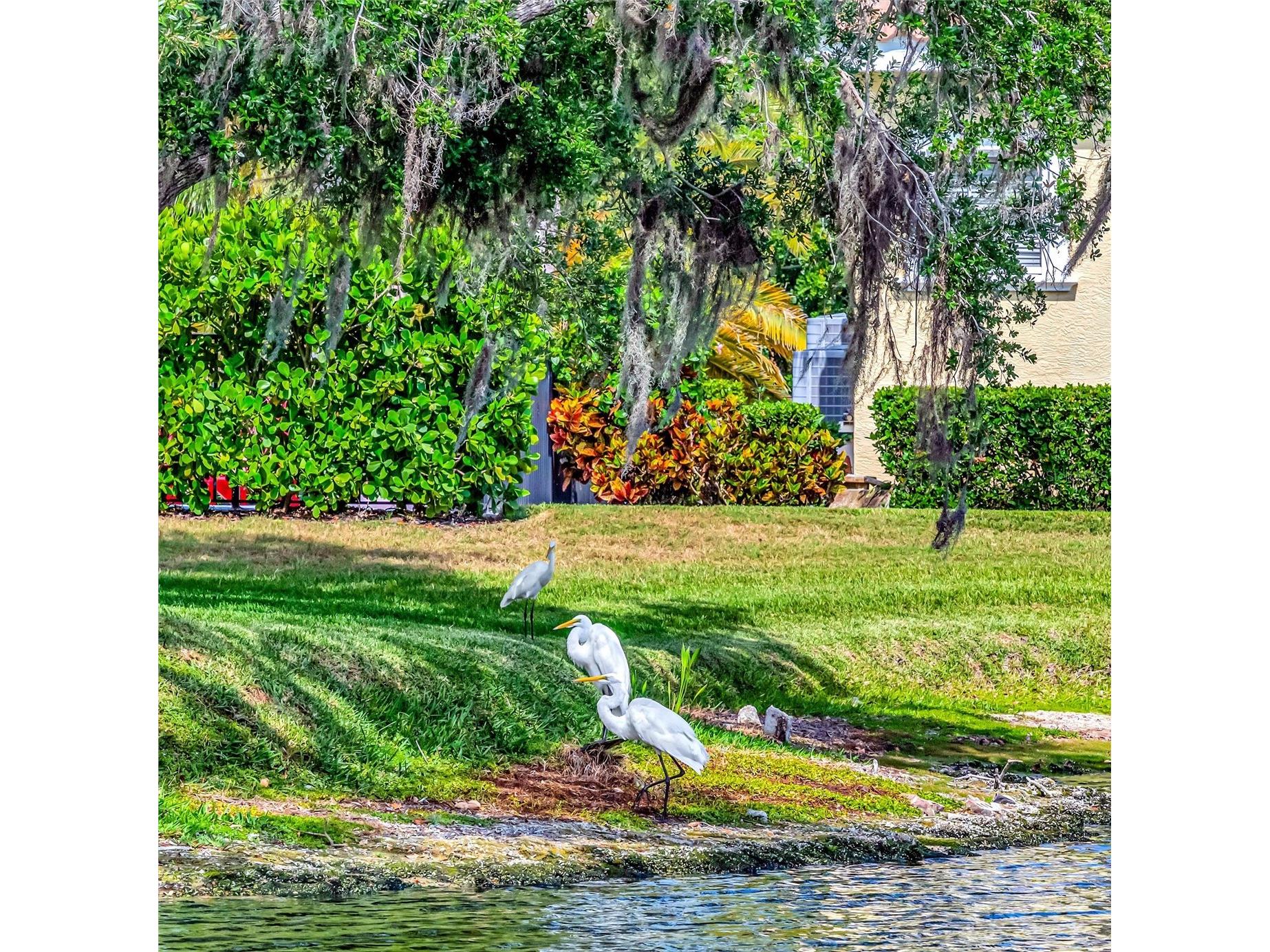 1846 Amberwynd Circle W Palmetto FL 34221 A4691136 image30