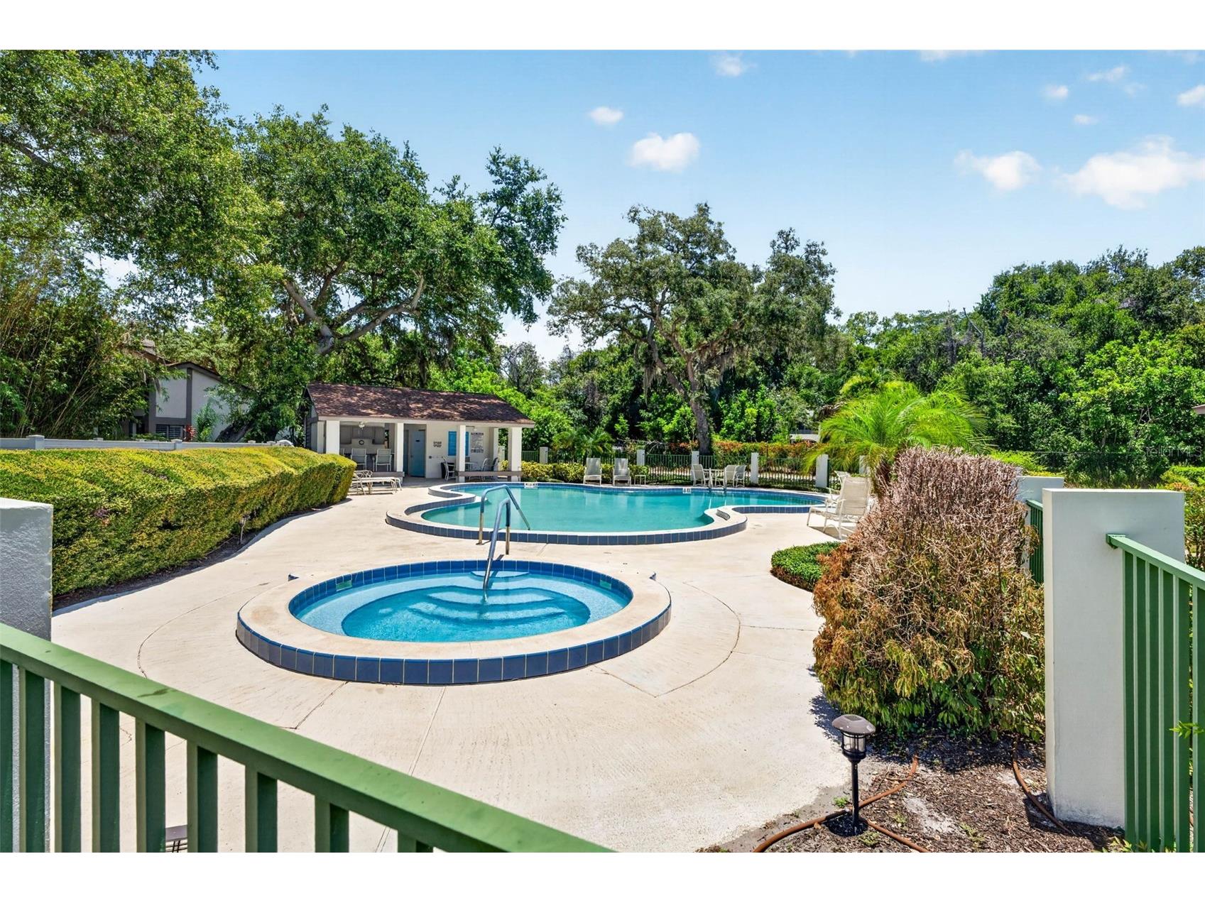 1846 Lake Cypress Drive #1846 Safety Harbor FL 34695 TB8525185 image36