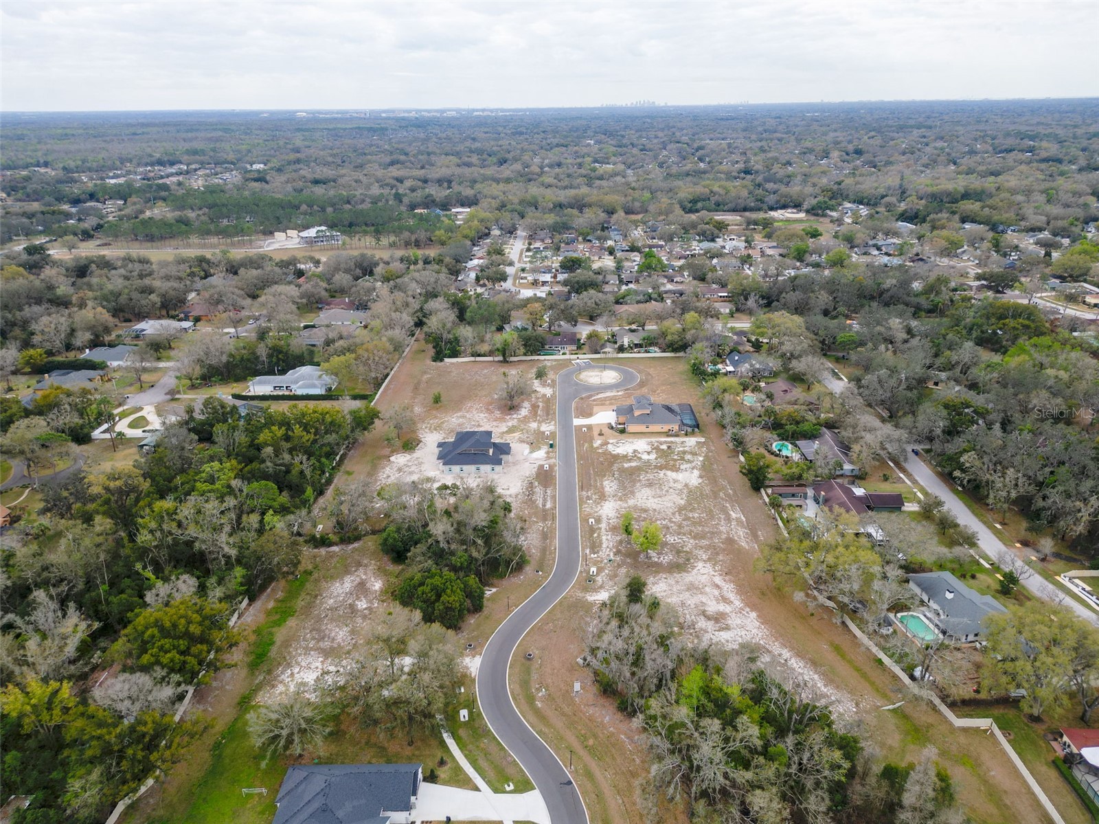 18460 Purple Creek Lane Lutz FL 33549 TB8470931 image20