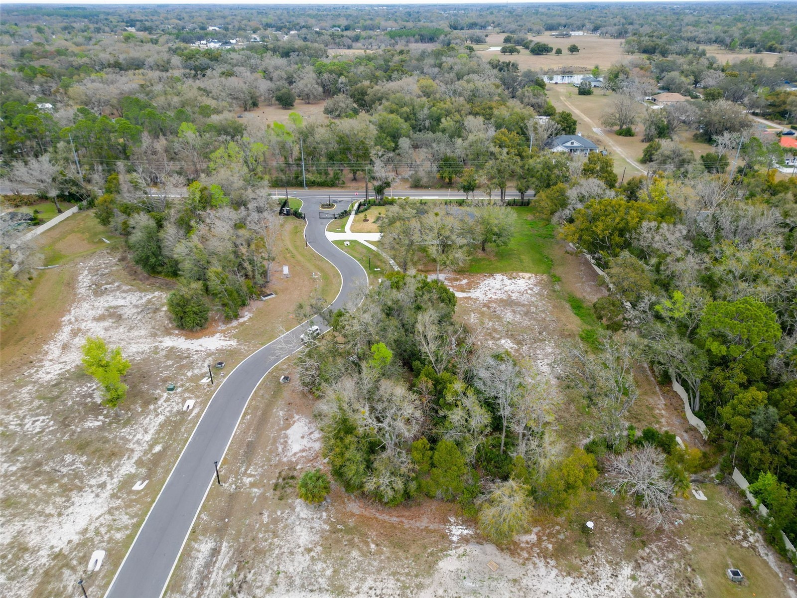 18460 Purple Creek Lane Lutz FL 33549 TB8470931 image21