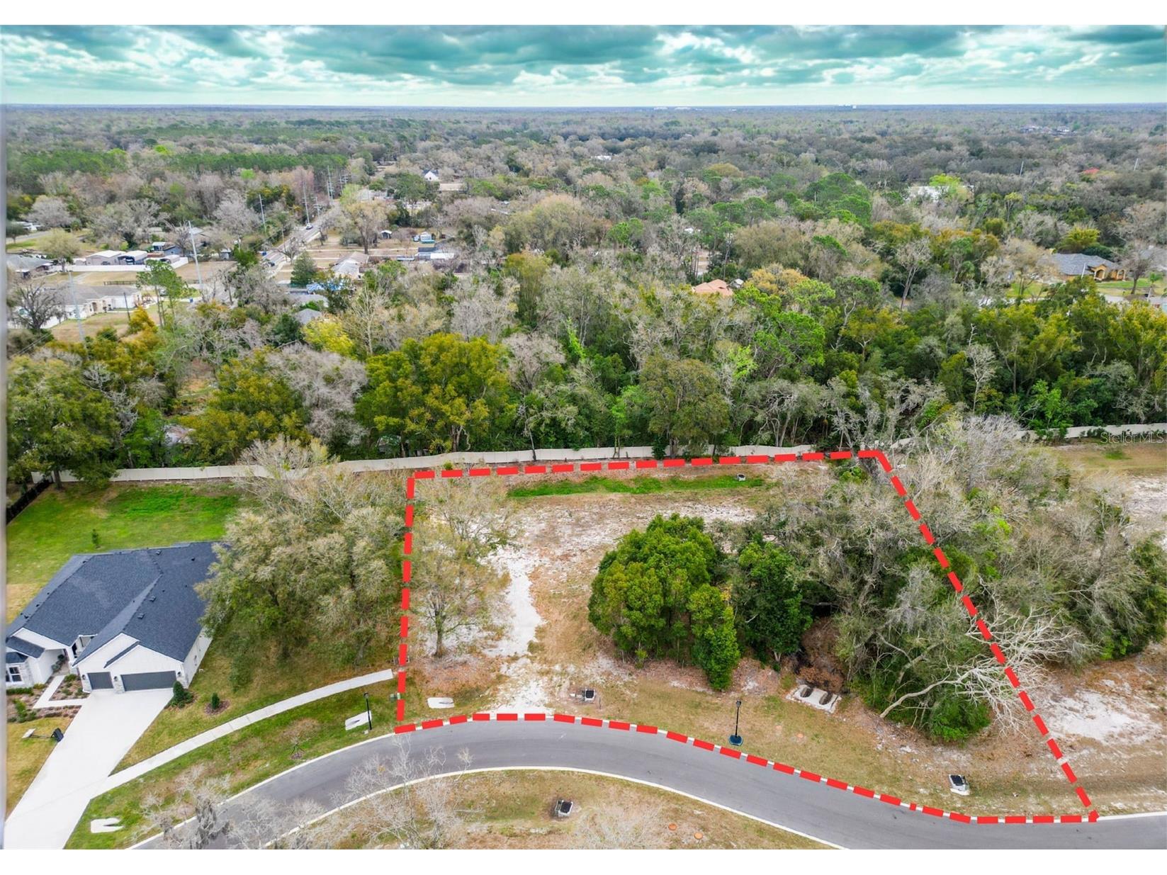 18469 Purple Creek Lane Lutz FL 33549 TB8480398 image1