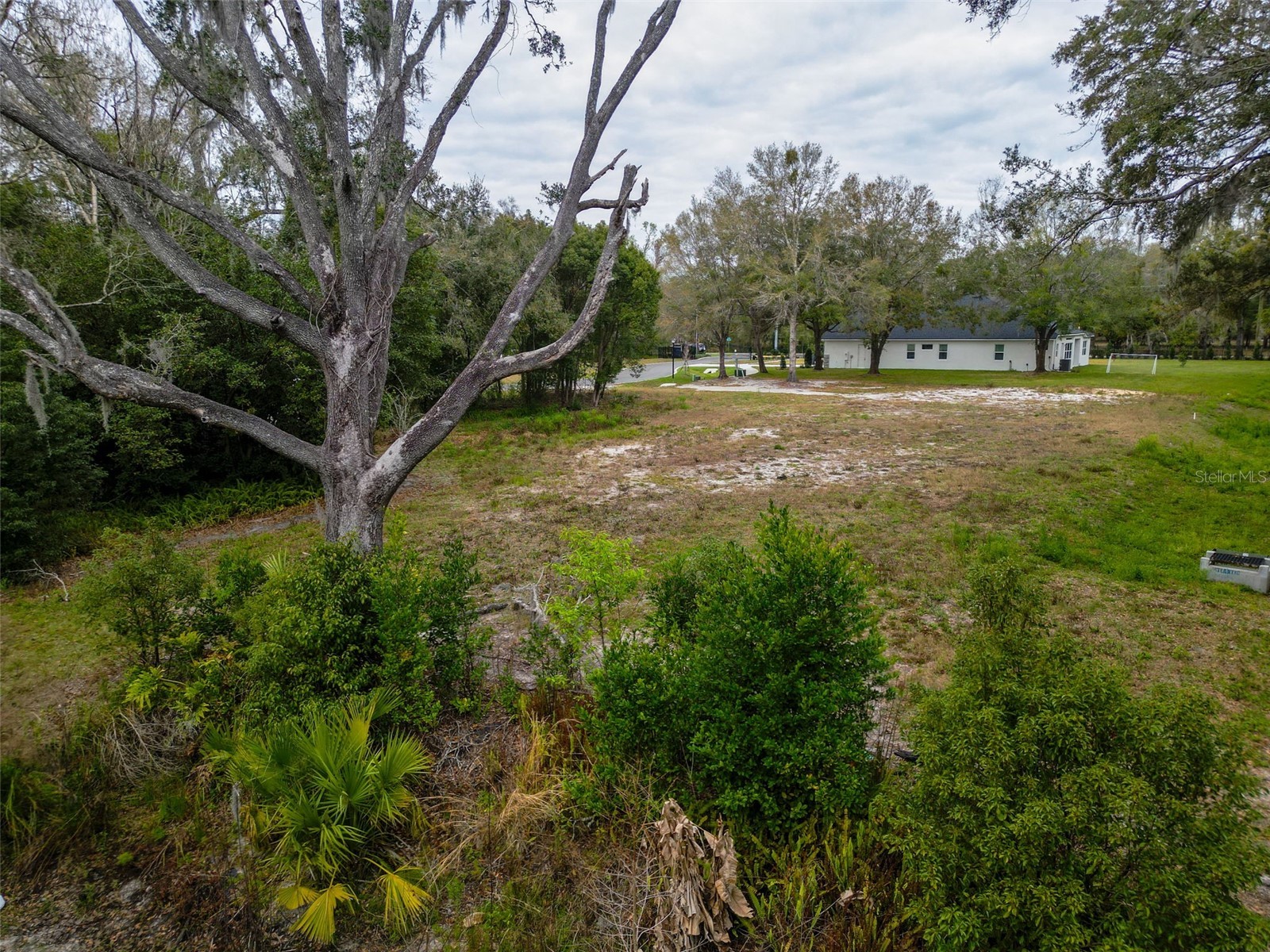 18469 Purple Creek Lane Lutz FL 33549 TB8480398 image10